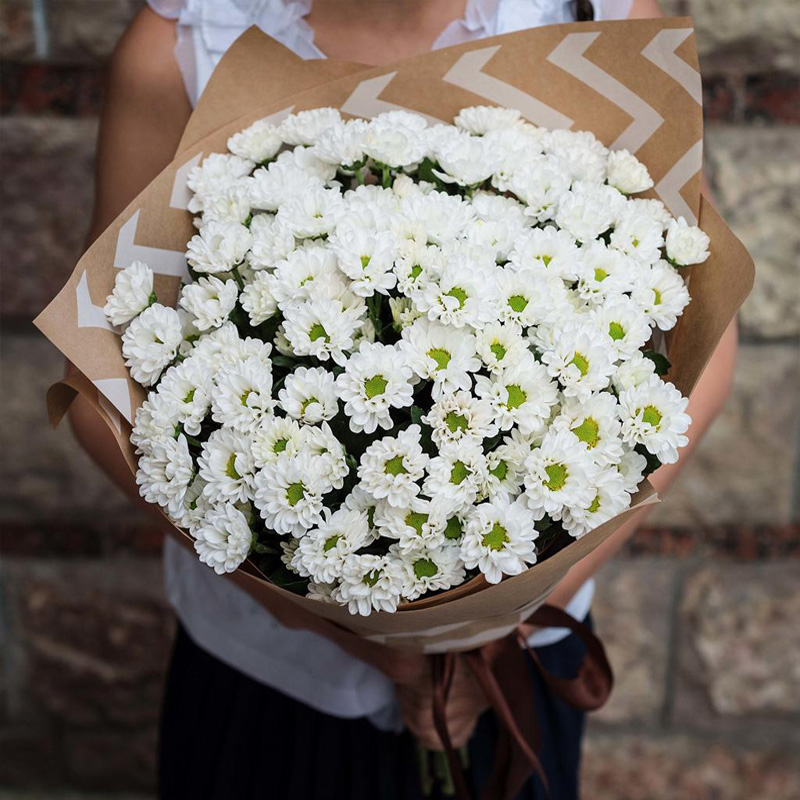 Нежный букет из 25 белых ромашковых хризантем купить в Краснодаре с  доставкой